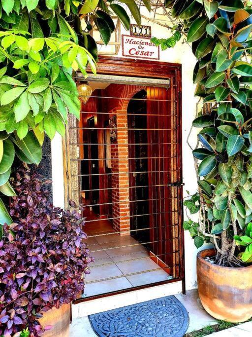 Hacienda En Primavera, Descanso Familiar Total Puerto Vallarta Ngoại thất bức ảnh